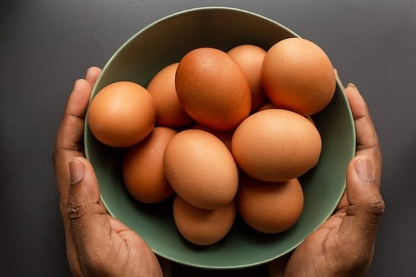 Pourquoi les œufs ont des coquilles ?